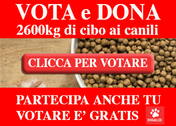 dogalize riempi la ciotola b14 - copia